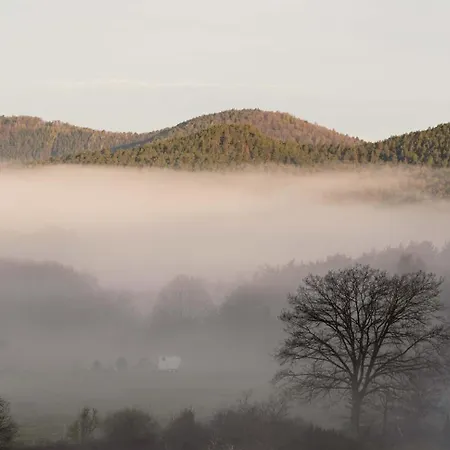 Weitblick Im Dahner Felsenland *