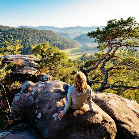 Weitblick Im Dahner Felsenland *