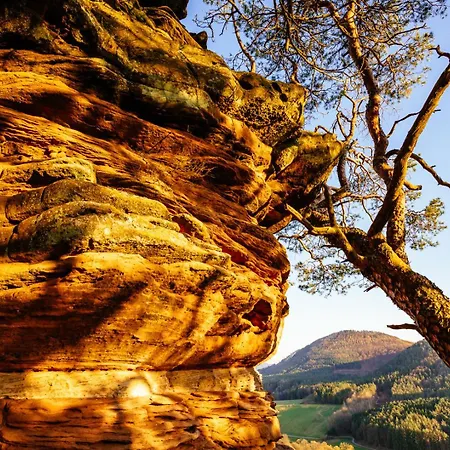 Weitblick Im Dahner Felsenland * Bruchweiler-Bärenbach