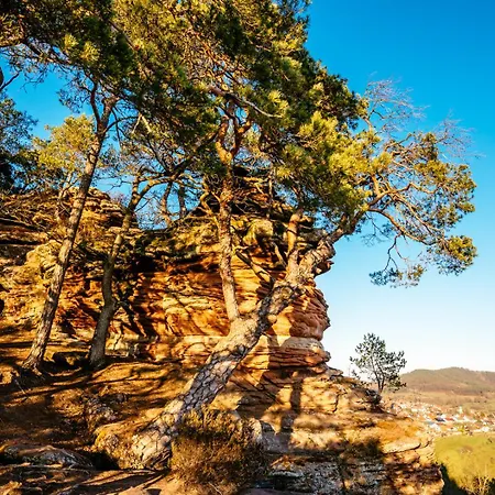 Weitblick Im Dahner Felsenland Bruchweiler-Bärenbach