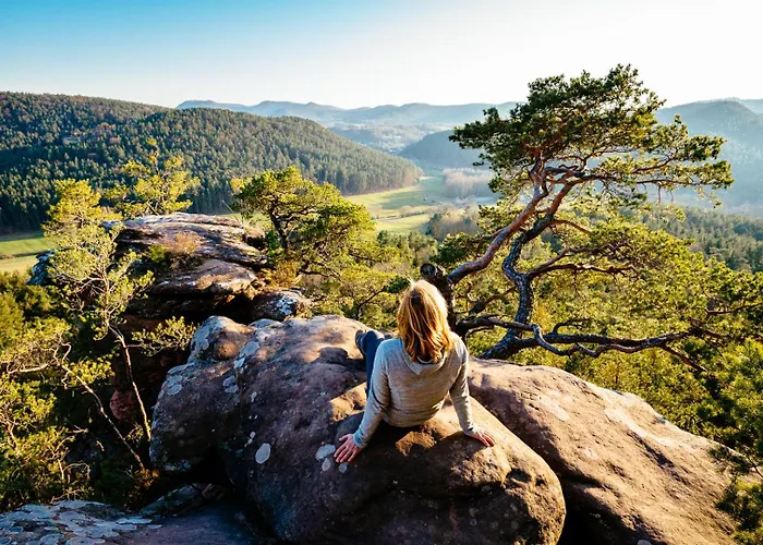 Weitblick Im Dahner Felsenland *